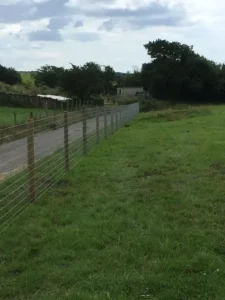 Wire fencing next to a road protecting a grassy field