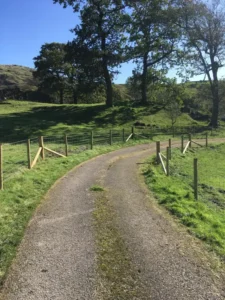 New wire fencing on both sides of a gravel path on grass