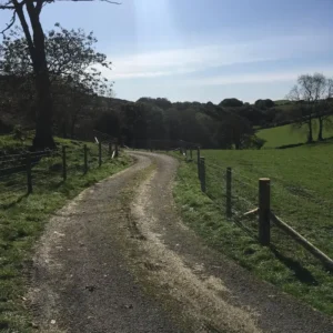New wire fencing on either side of a gravel path on a grassy hill