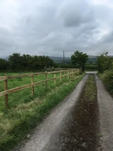 Wooden fencing along a path protecting a horse field