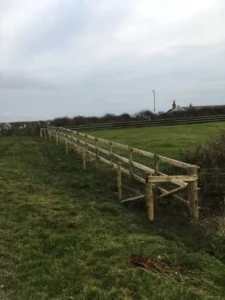 Wire fencing protecting an equine field