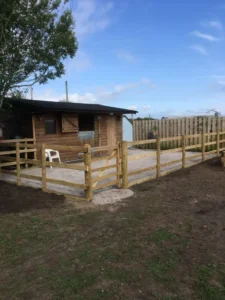 Wooden fencing around a shed in a horse field